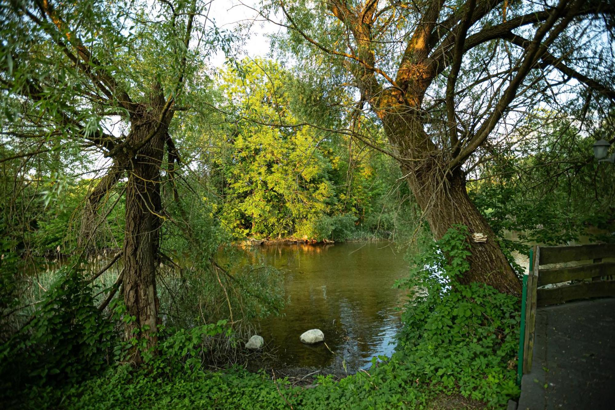 Zakatek River Райгруд Экстерьер фото