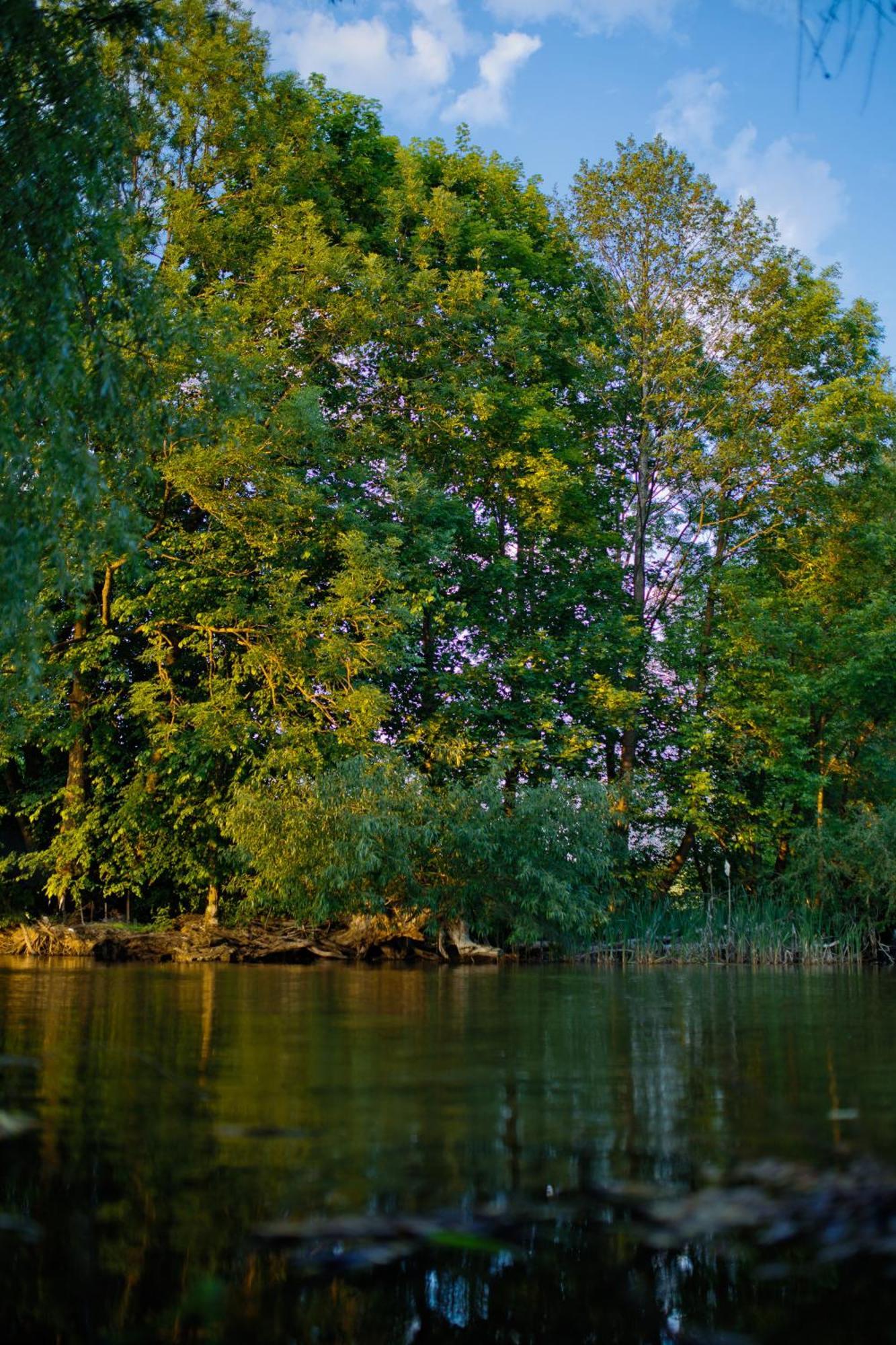 Zakatek River Райгруд Экстерьер фото